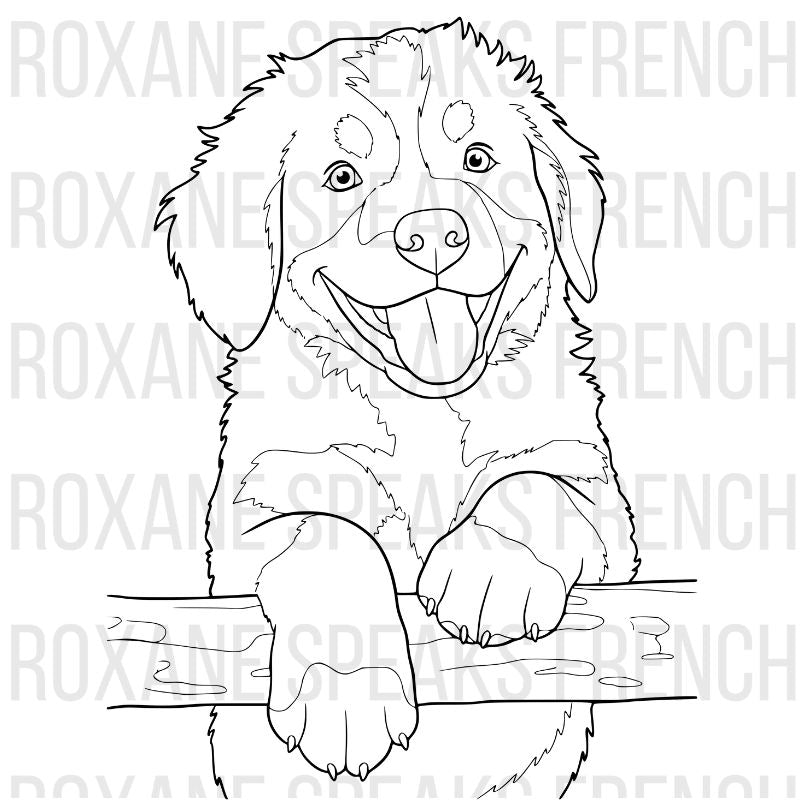 Dog Coloring Pages – Printable PDFs for Every Dog Lover