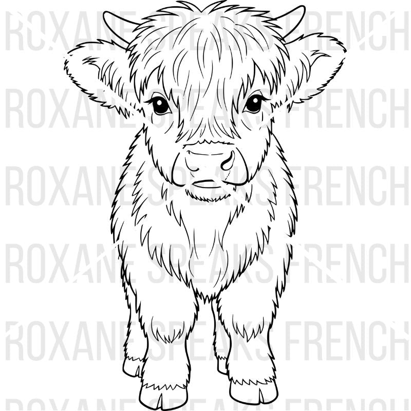 Highland Cow Coloring Pages – Printable PDF Collection