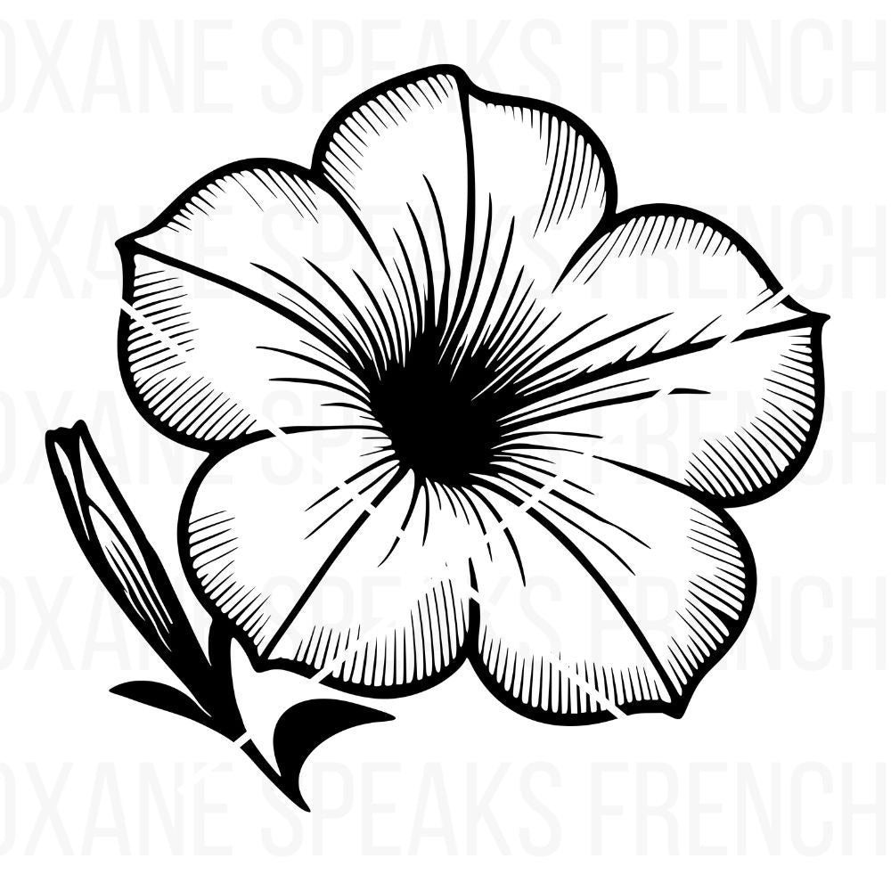 Elegant SVG outline of a flower with intricate petal details, ideal for botanical-themed crafts, floral decor, DIY projects, scrapbooking, and nature-inspired printables. Adds a delicate touch to creative designs.