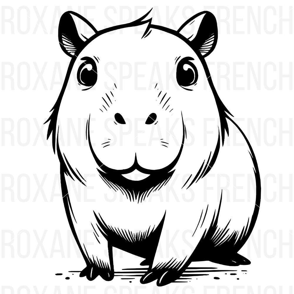 A cute illustration of a capybara with a round face and expressive eyes, featuring soft lines and a friendly smile.