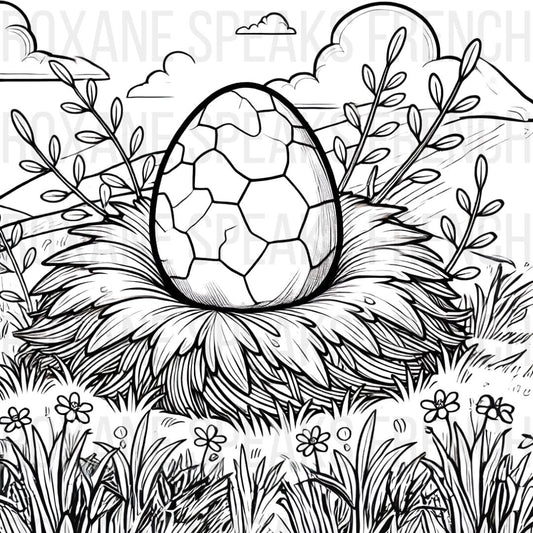 Intricate dragon egg coloring page featuring a detailed dragon egg resting in a large nest, surrounded by plants and grass. The background includes mountains, clouds, and foliage, creating a serene and magical scene.