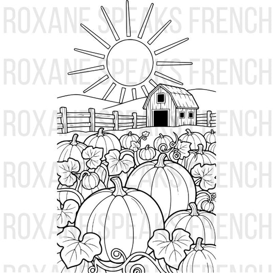 Fall pumpkin patch coloring page with farm house, multiple pumpkins in field, wooden fence, sun, and autumn pumpkin vines with leaves - printable line art scene