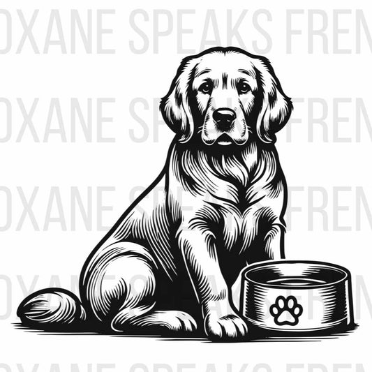 cute golden retriever sitting outline illustration