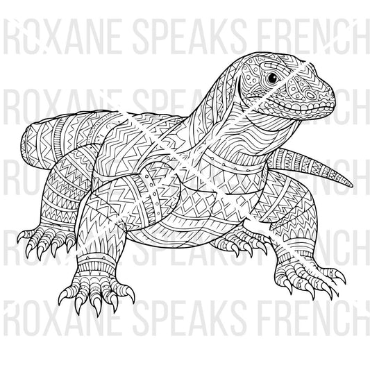 Komodo Dragon Printable PDF for Home & Classroom