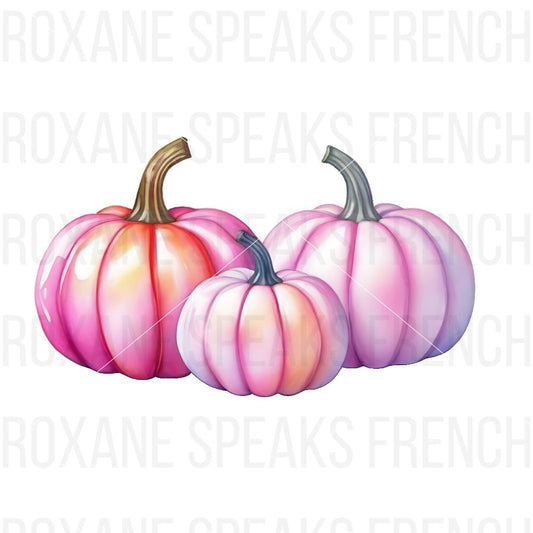 Three pastel pink watercolor pumpkins in varying sizes, with soft shading and elegant details.