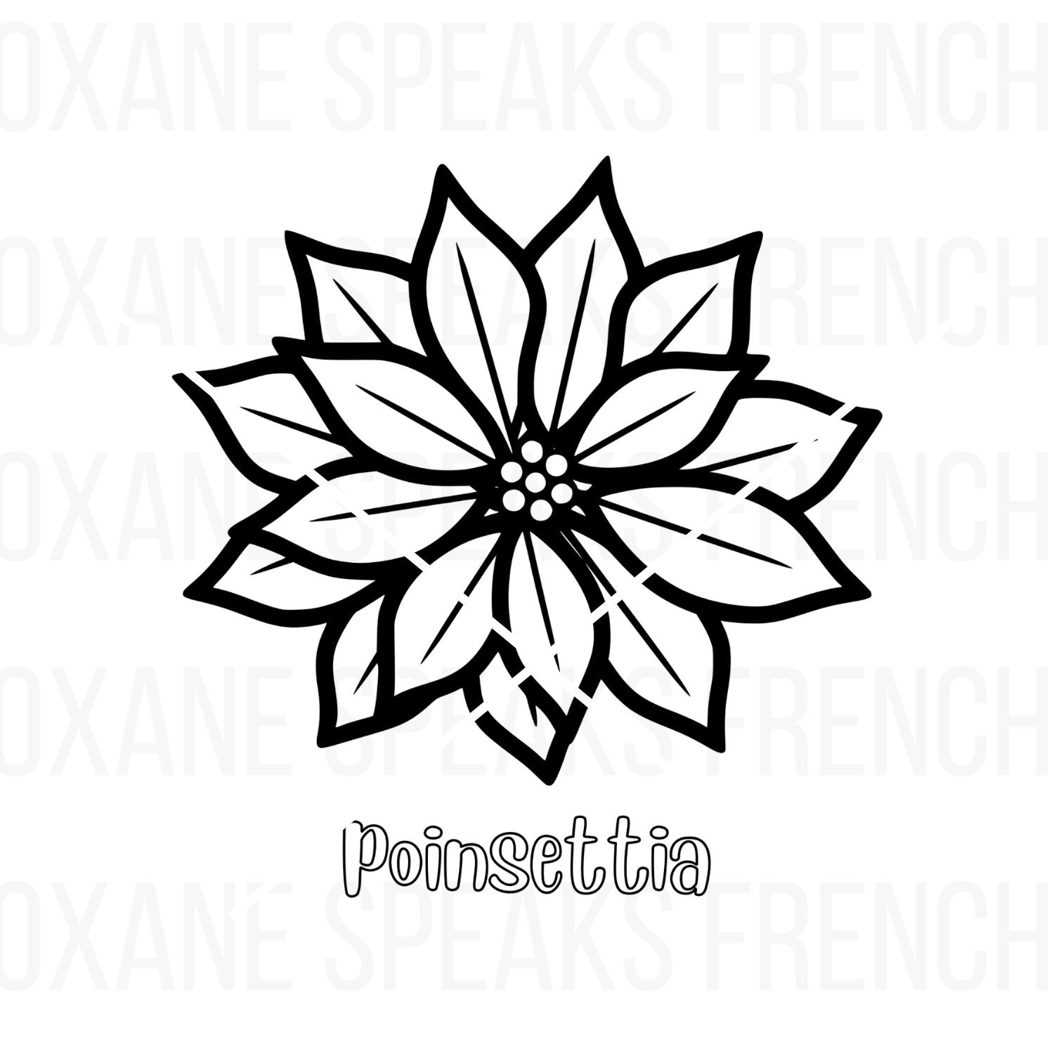 Poinsettia coloring page with a bold outline of a Christmas flower, perfect for holiday-themed coloring activities and crafts.