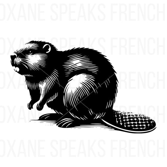 Realistic black silhouette of a beaver sitting with detailed fur and a textured tail, showcasing elegant line work for nature-inspired crafting and design projects