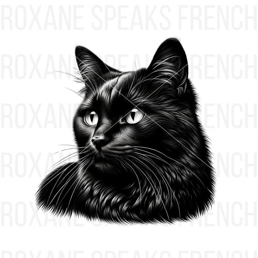 A realistic black cat face clipart featuring intricate details in the fur and whiskers, with bright eyes and a lifelike expression on a clean white background.