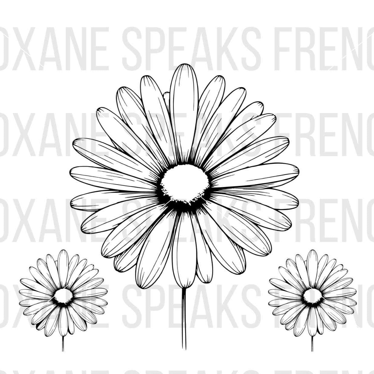 Sunflower PNG SVG File – Three sunflower designs with bold outlines, perfect for Cricut and Silhouette cutting machines