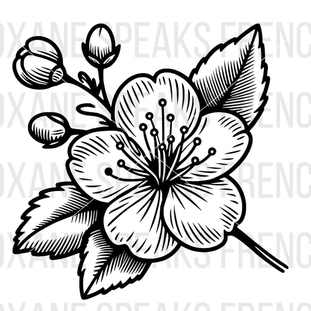 Cherry Blossom Flower SVG File – Detailed outline of a cherry blossom flower and buds, perfect for Cricut, Silhouette, and cutting machines.