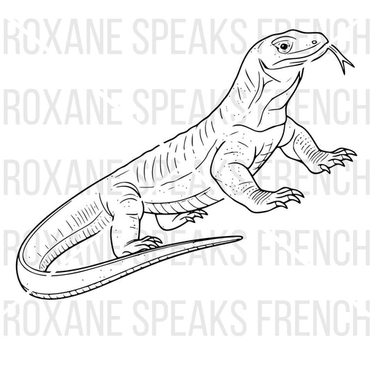 Line art illustration of a Komodo dragon coloring page with detailed scales on white background