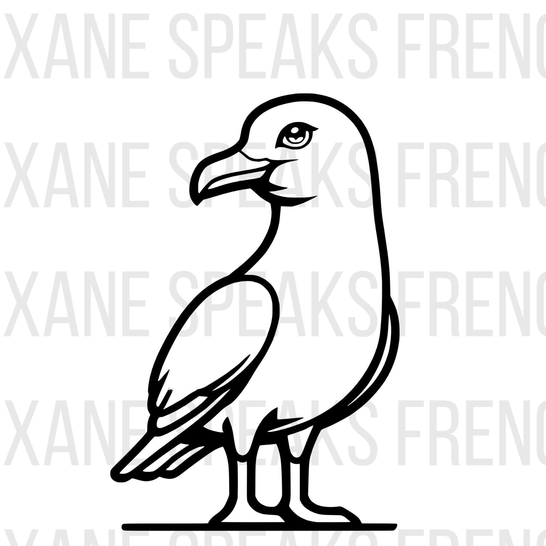 A black outline of a friendly seagull on white watermarked background.